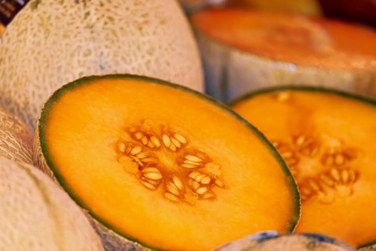 Berbagai Manfaat Winter Melon untuk Kesehatan