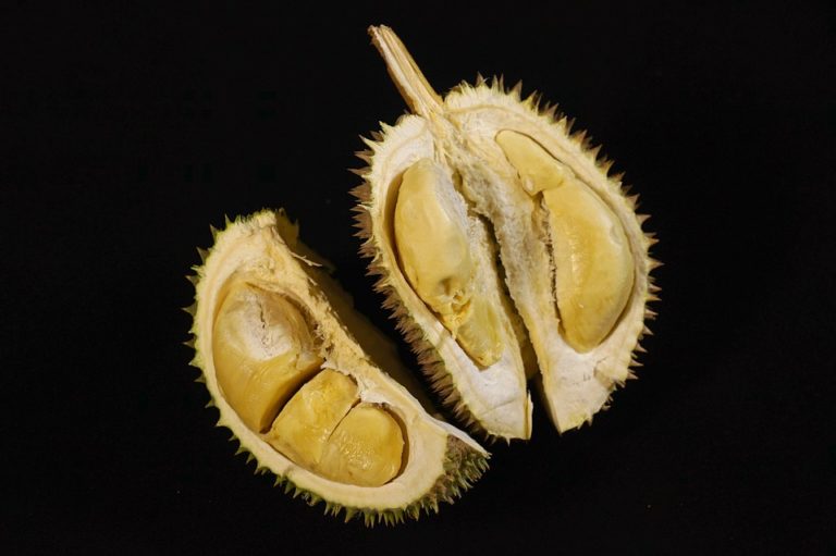 Sejarah dan Nama Latin Durian